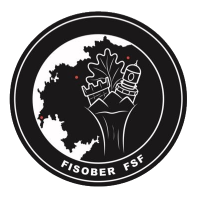 Fisober F.S.F.