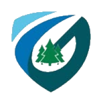 S.D. Abetos Gondomar F.S.