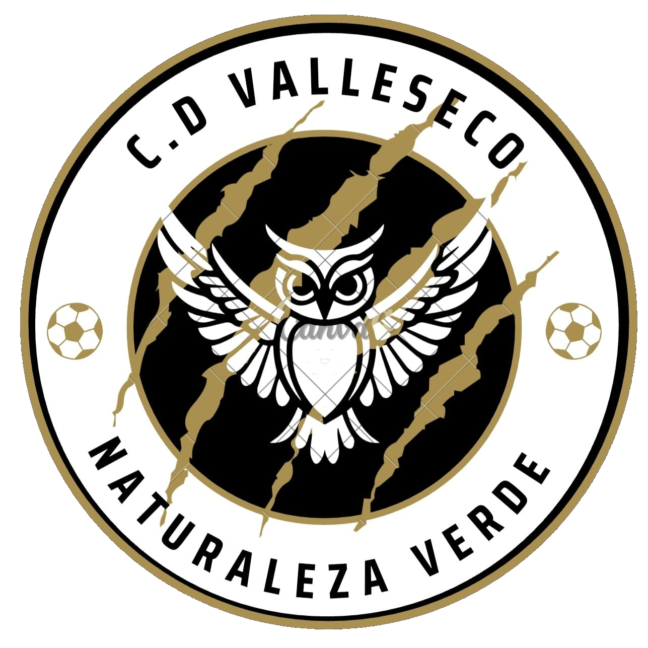 C.D. N.V. Valleseco de G.C.