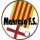 Covisa Manresa F.S.