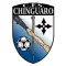 C.F.S Chinguaro
