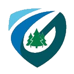 S.D. Abetos Gondomar F.S.