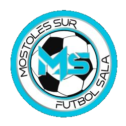 C.D.E. Móstoles Sur F.S.