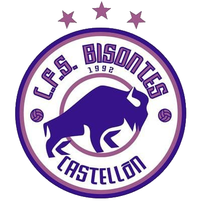 Feme Castellón C.F.S. B