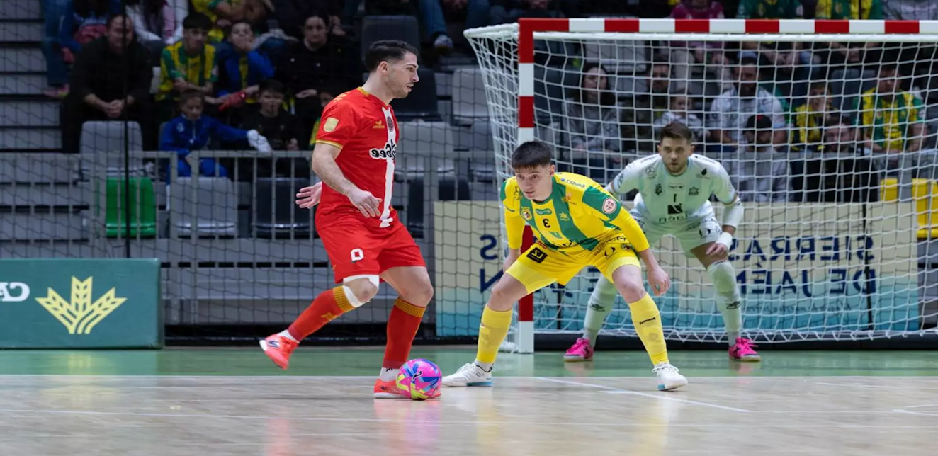 Descripción de la imagen