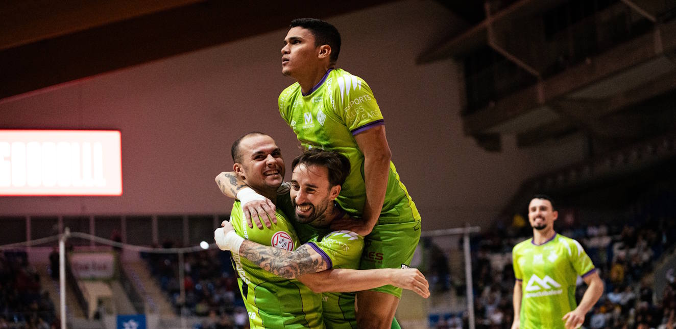 Descripción de la imagen