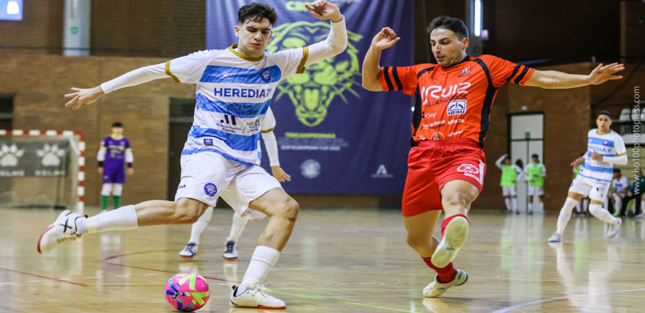 Descripción de la imagen