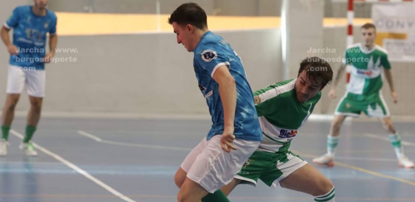 Descripción de la imagen