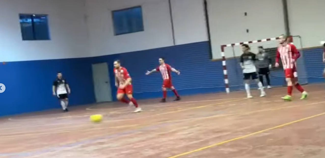 Descripción de la imagen