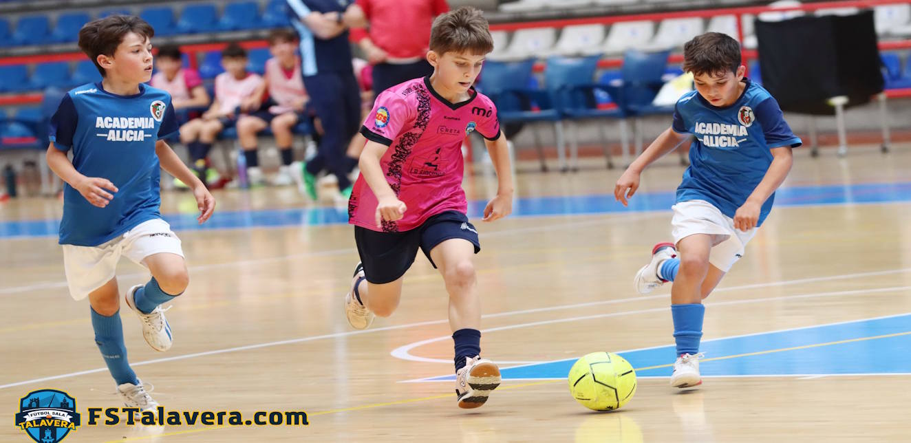 Descripción de la imagen